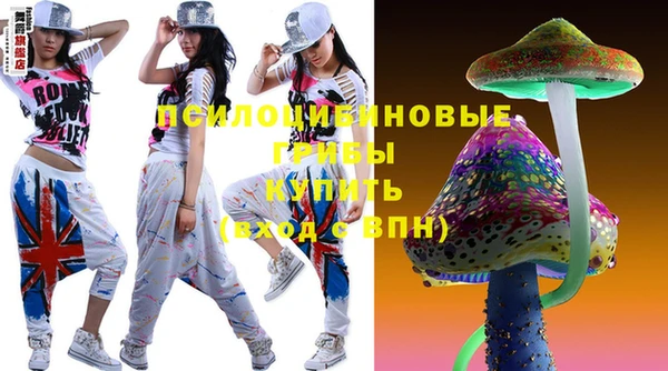 тгк Алзамай