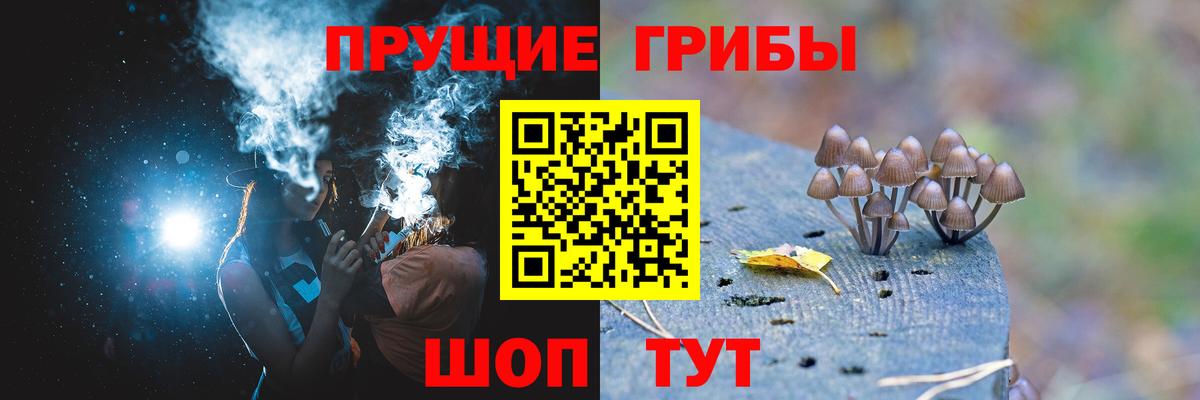 Апатиты  Псилоцибиновые грибы GOLDEN TEACHER  купить наркоту  Вход с VPN  Галлюциногенные грибы Psilocybine cubensis 